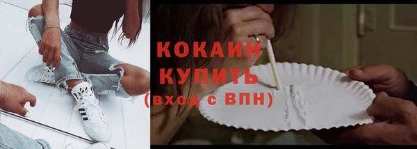 прущие грибы Сафоново