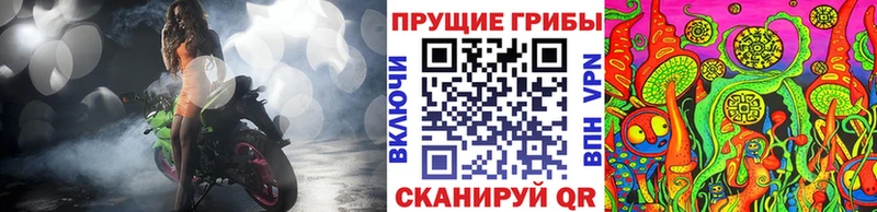 Псилоцибиновые грибы Psilocybine cubensis  Могоча 